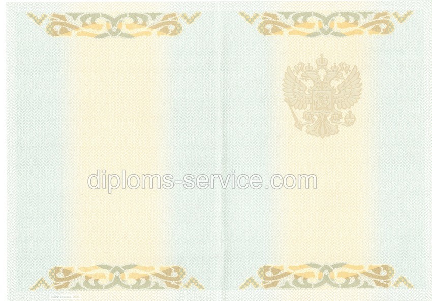 Диплом магистра 2003-2009 годов-фото2