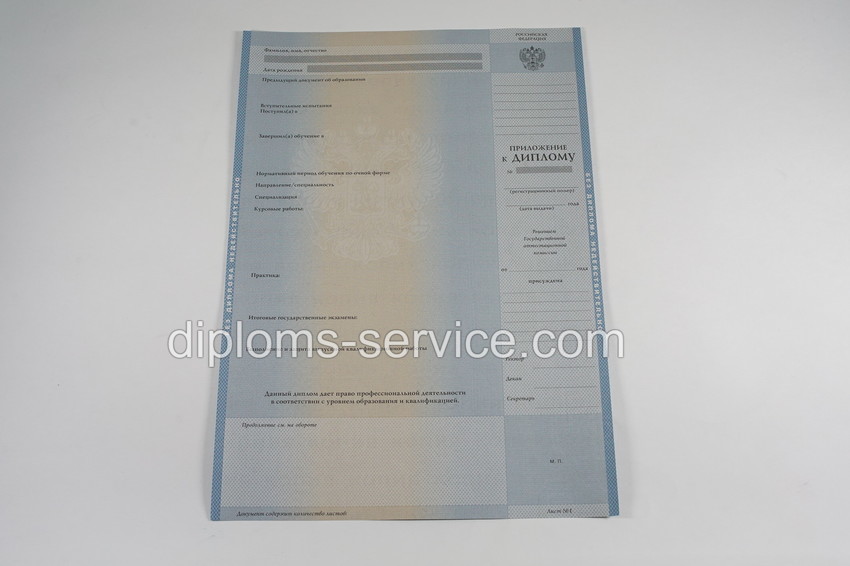 Диплом магистра 2003-2009 годов-фото4