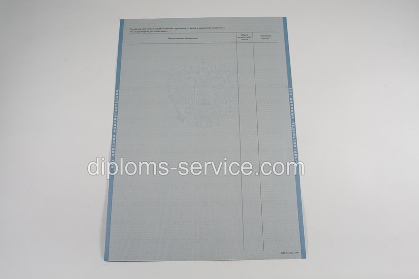 Диплом магистра 2003-2009 годов-фото5