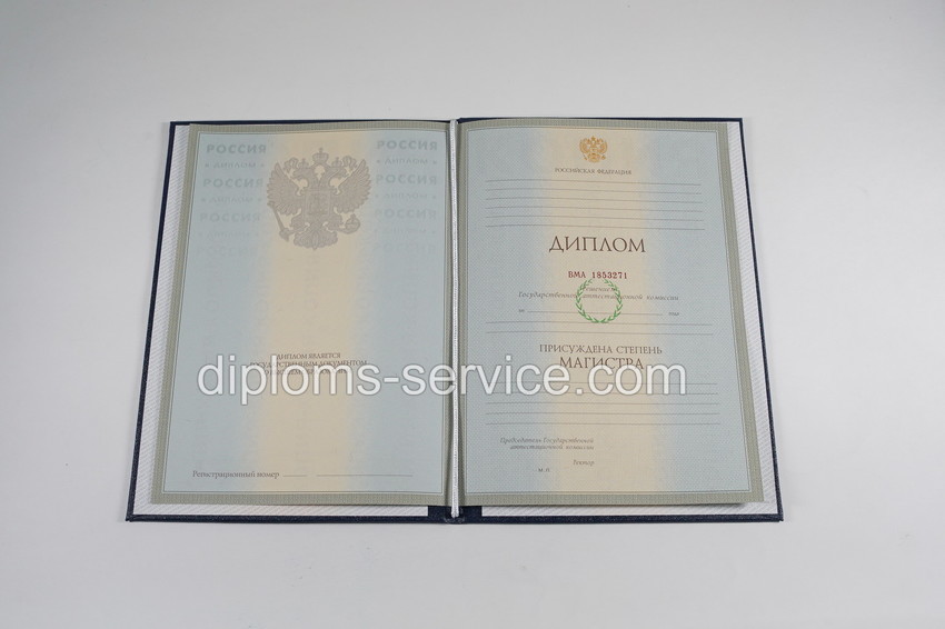 Диплом магистра 2003-2009 годов-фото6