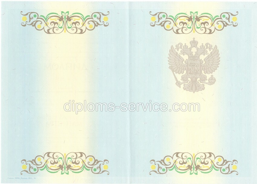 Диплом магистра 2012-2013 годов-фото2