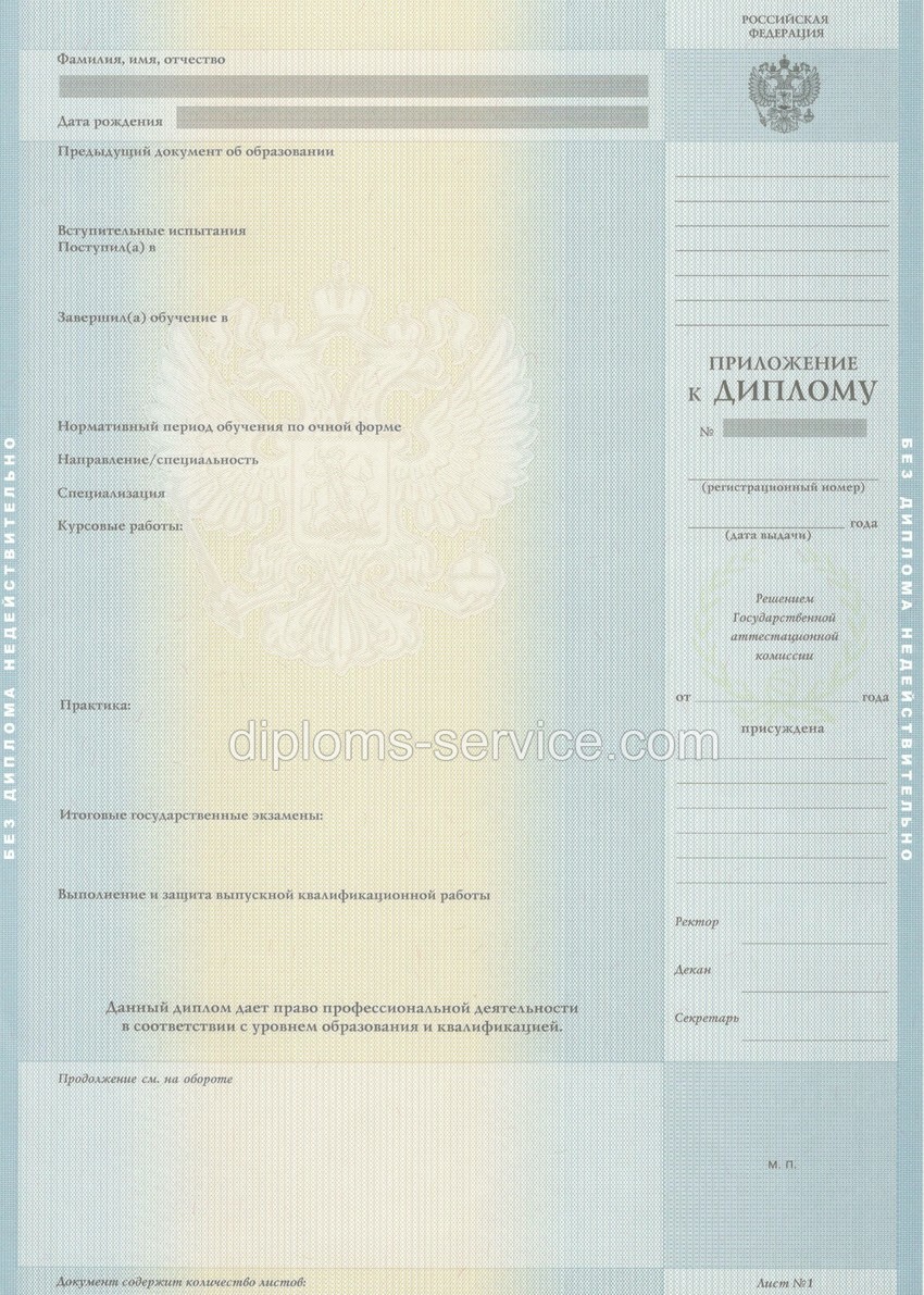 Диплом магистра 2012-2013 годов-фото3