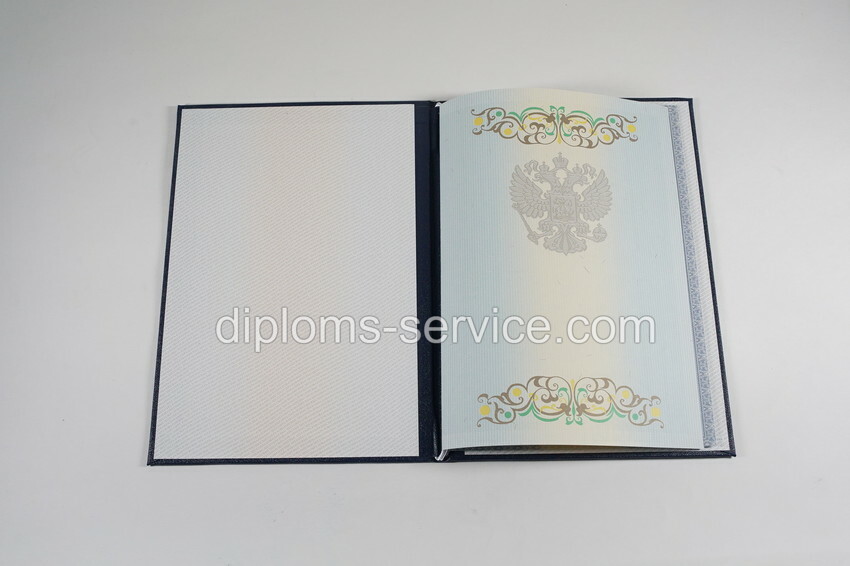 Диплом магистра 2012-2013 годов-фото5