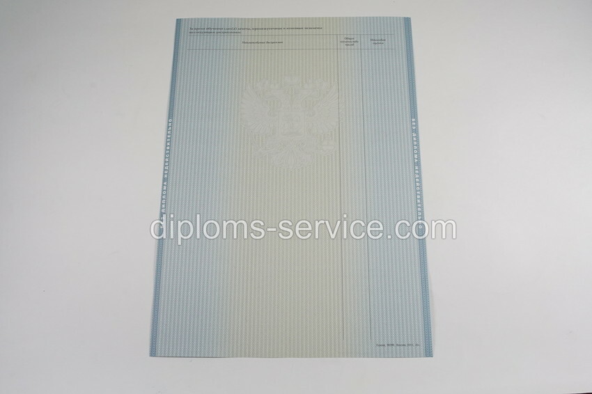 Диплом магистра 2012-2013 годов-фото7