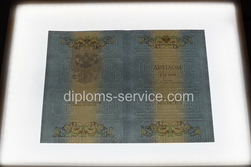 Диплом магистра 2012-2013 годов-фото9