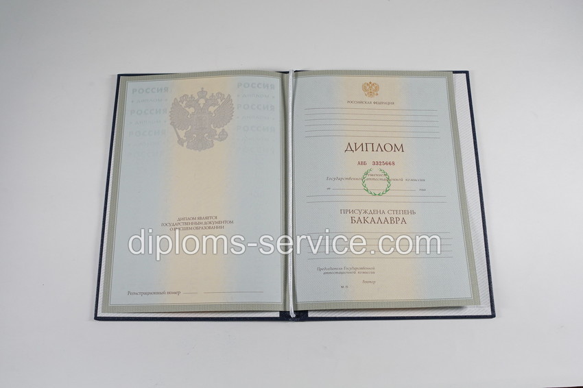 Диплом бакалавра 2003-2009 годов-фото4