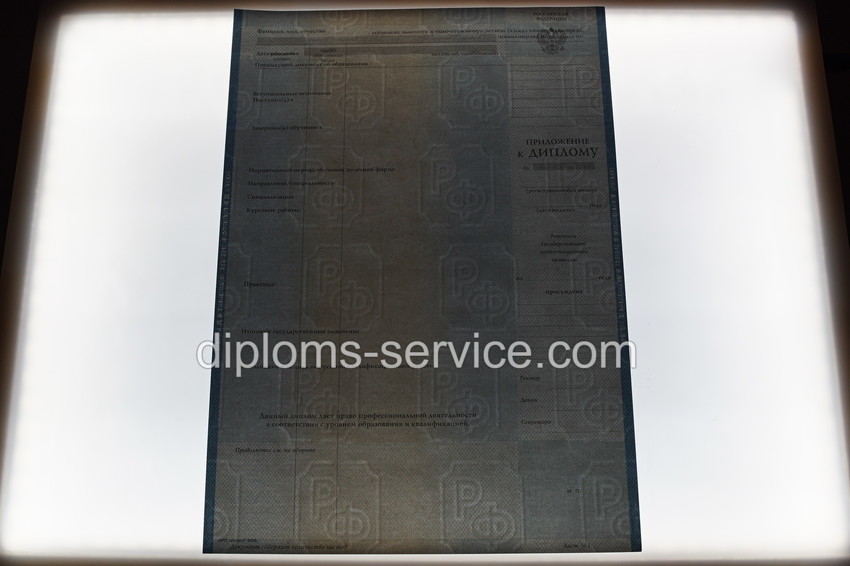 Диплом бакалавра 2003-2009 годов-фото9