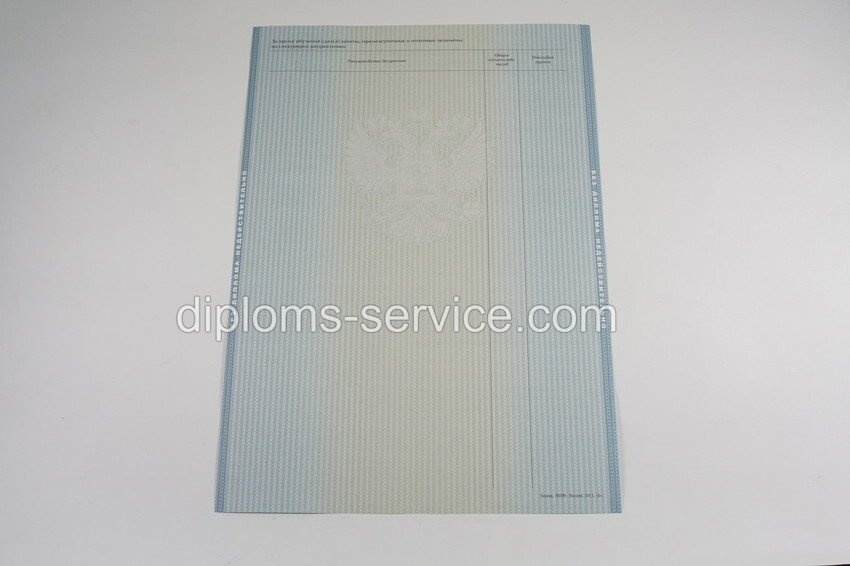 Диплом бакалавра 2012-2013 годов-фото5