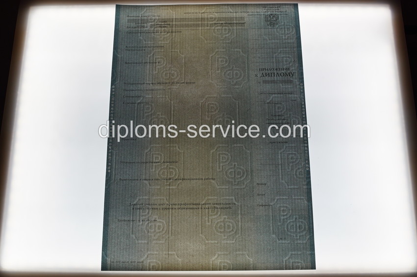 Диплом специалиста 2012-2013 годов-фото10