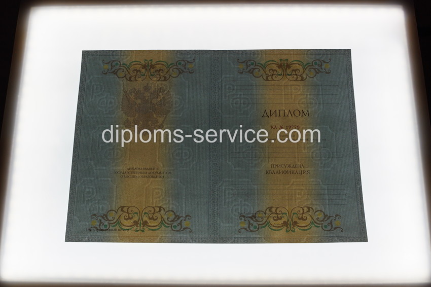 Диплом специалиста 2012-2013 годов-фото9